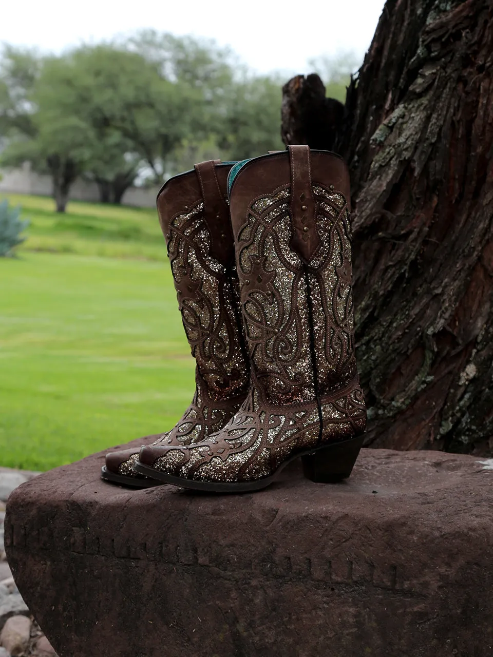 C3331 - WOMEN'S ORIX GLITTERED INLAY AND STUDS BROWN SNIP TOE COWBOY BOOT