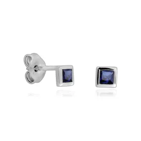 Princess Cut Blue Sapphire Stud Earrings